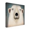 Trademark Fine Art Ryan Fowler 'Polar Bear Wow' Canvas Art, 14x14 WAP06254-C1414GG